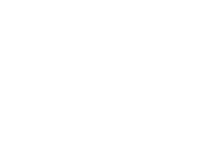 southern carlson logo